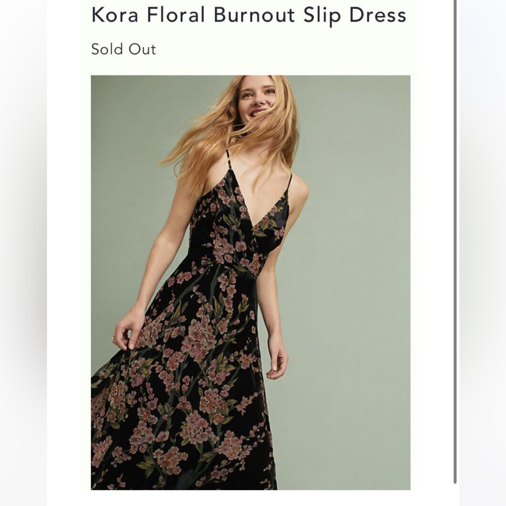Anthropologie Eri + Ali velvet floral slip dress